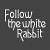 Om_Rabbit