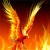 Dr_Phoenix