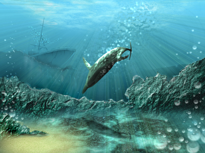 :-) дельфинчег