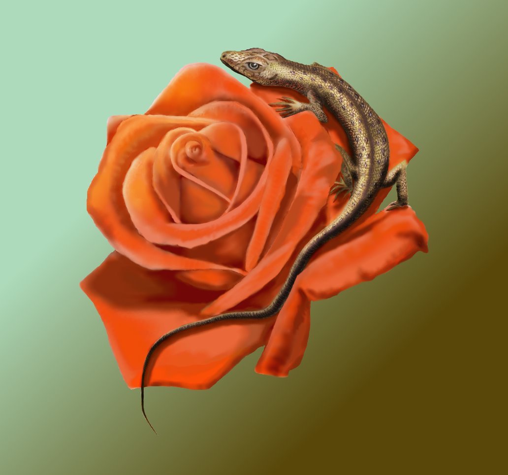 символ-образ для танцовщицы фламенко