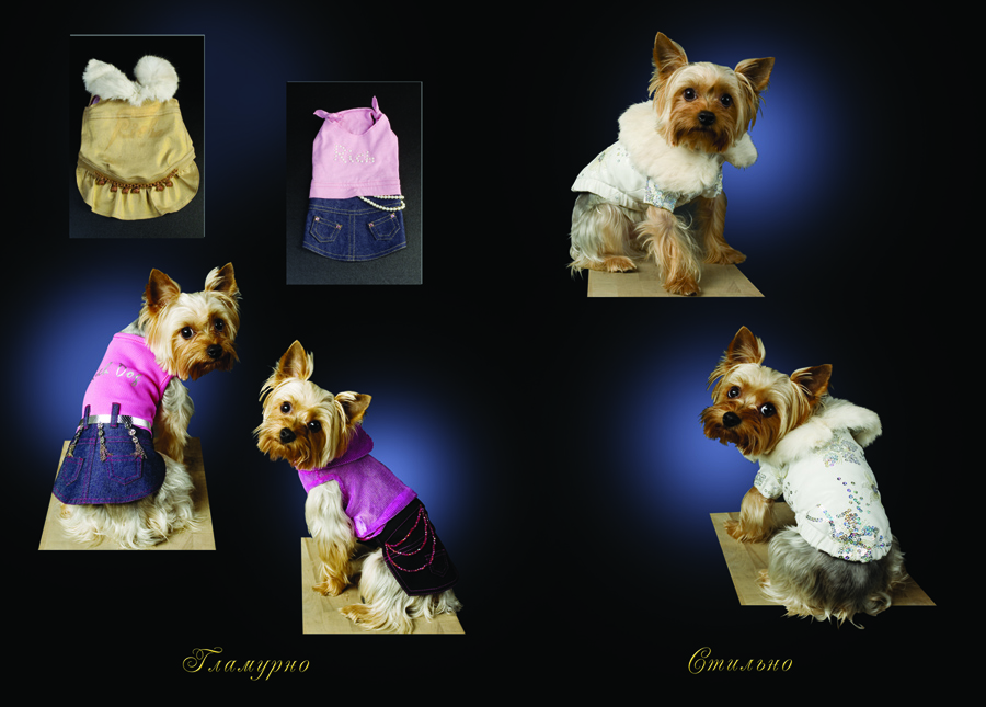 Буклет к выставке, компания "RICH DOG"(стр 6-3)