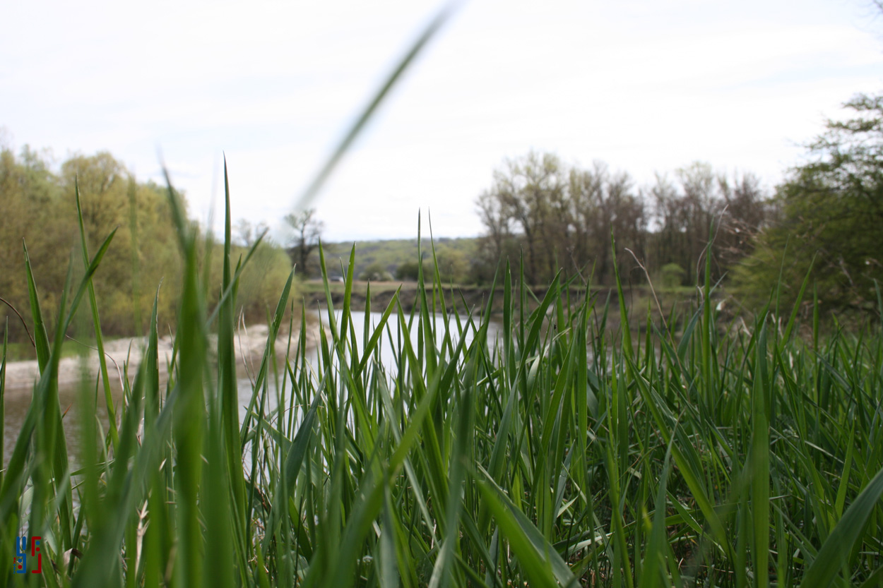 Мои таланты