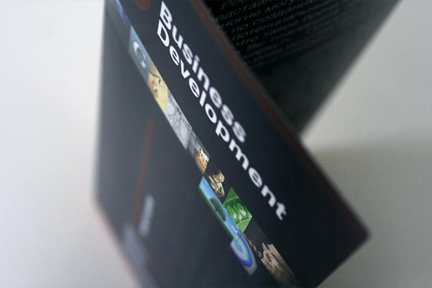 Лифлет Business Development