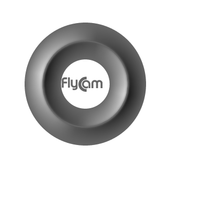 flycam
