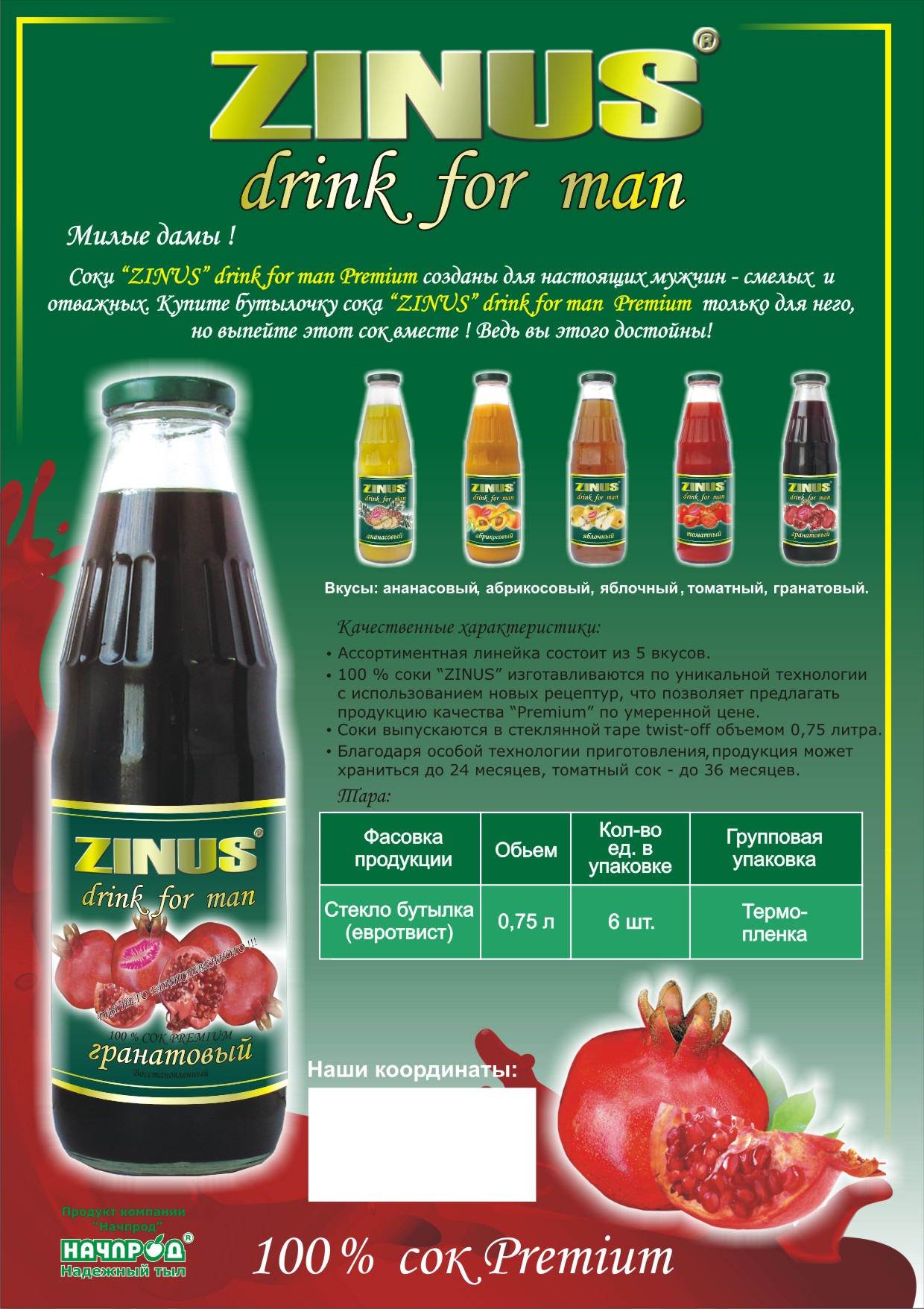 Листовка "Зинус" С 2