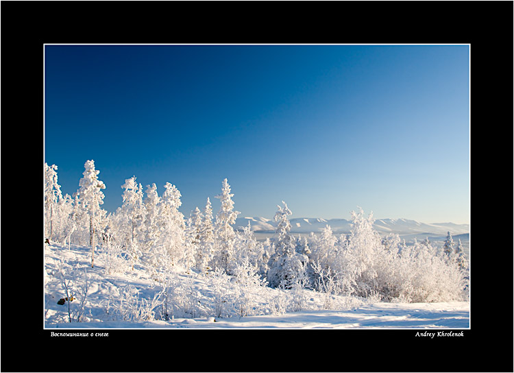 Стоковая фотосъемка