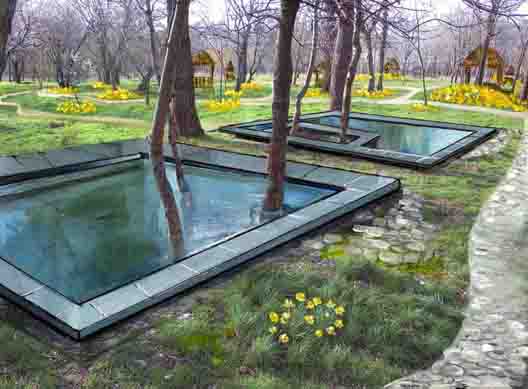 концептуальное решение рощи