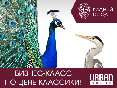 Баннер для "Видного города", 2018 г.