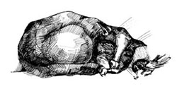 Иллюстрации к книгам "Красный квадрат" и "Арабески&quot