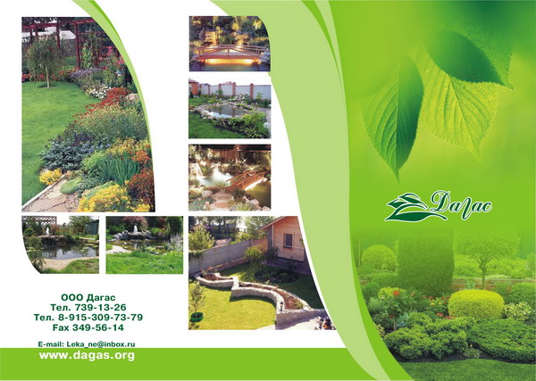 Лицо буклета для компании "Дагас"