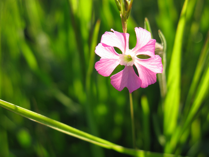 Фото. Природа Крыма.