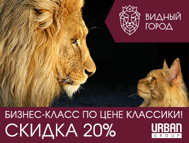 Баннер для "Видного города", 2018 г.