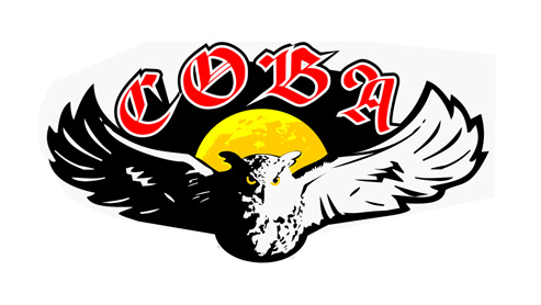 Бильярдный клуб "Сова"