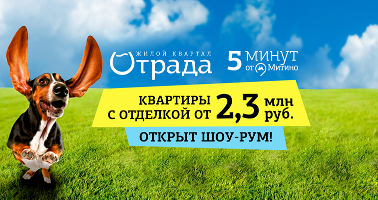 Брендирование циан параллакс для "Отрады", 2017 г.