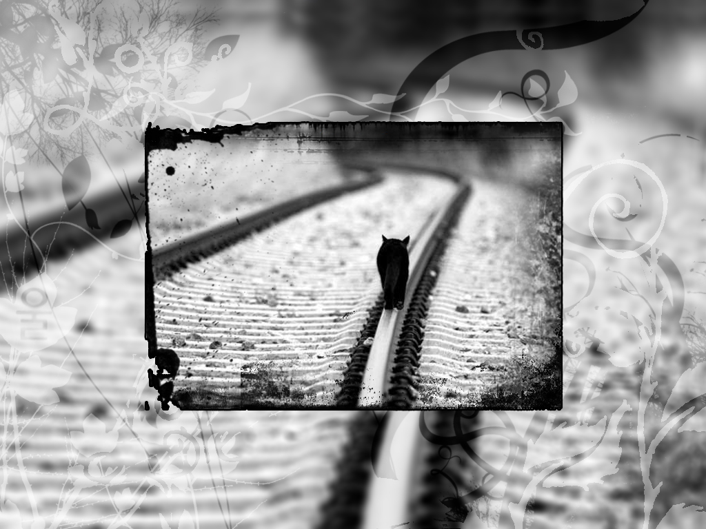 Одиночество