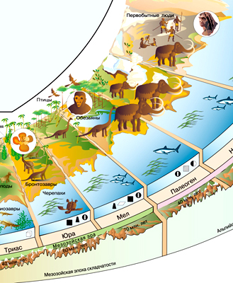 Эволюция жизни на земле (фрагмент)