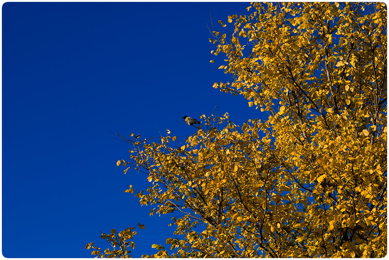 Смотря на Юг