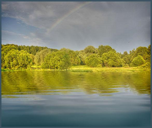 после летнего дождя