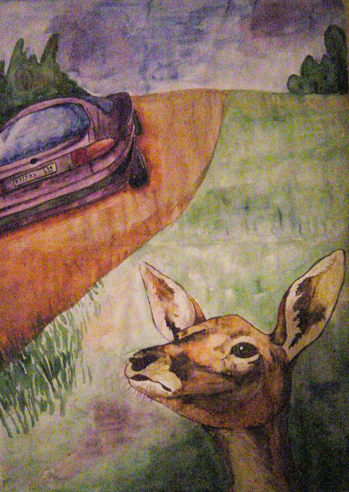 Берегите природу