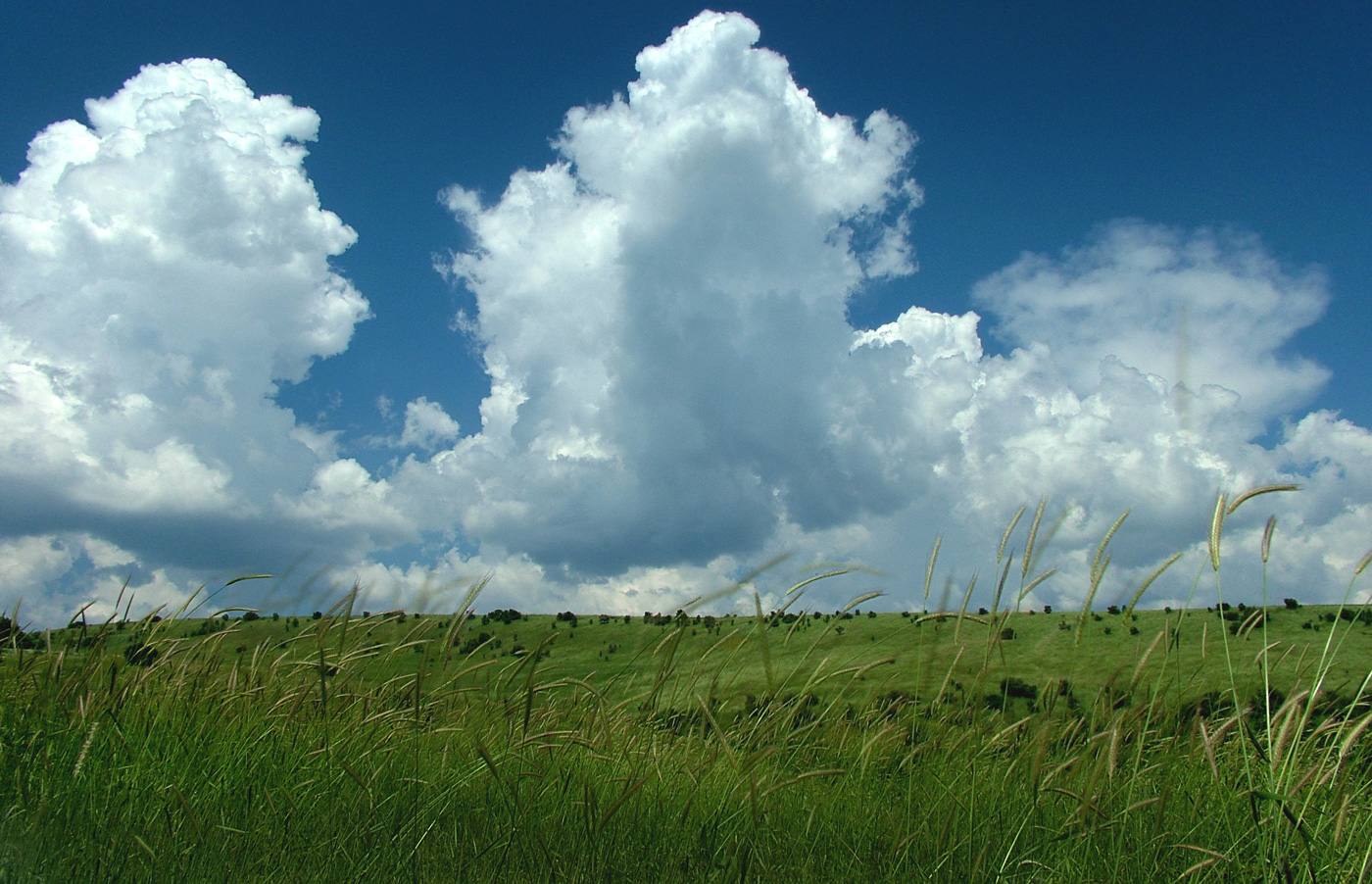 кристальный простор