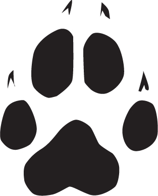 Собачий след