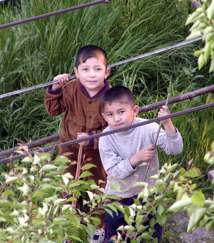 "в мире животных"