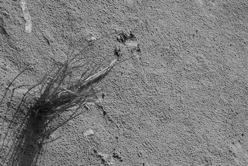 Почти пустыня