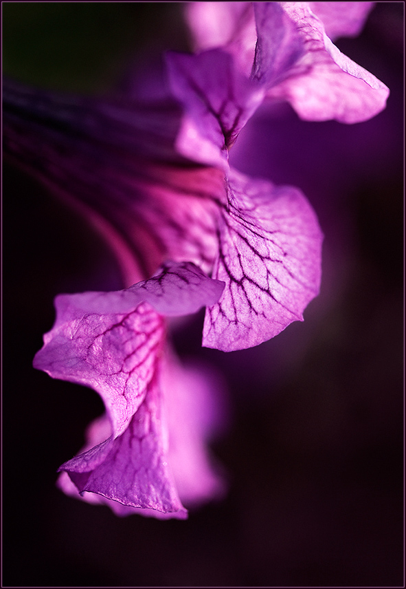 «В переплетении волн...»