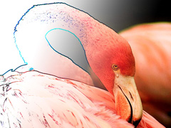 из фото в рисунок