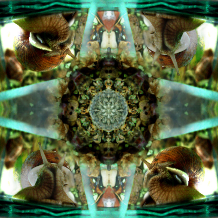 Обложка для cd "Little monsters"