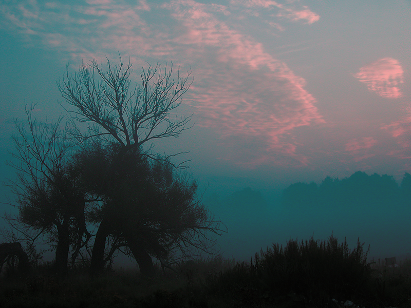 Тихо вокруг...