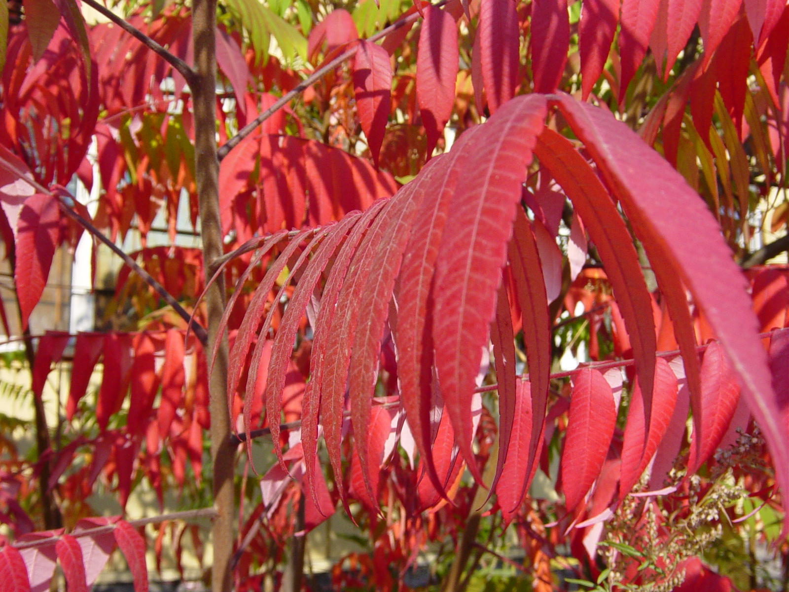 фотография природы