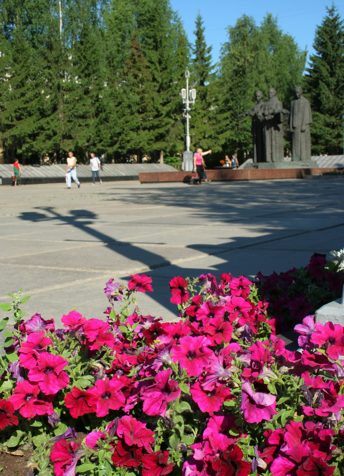 Вечные цветы