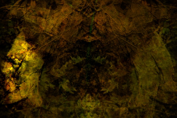 крайности рациональности