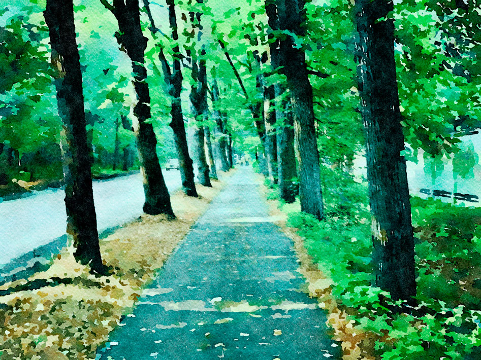 Золотая аллея