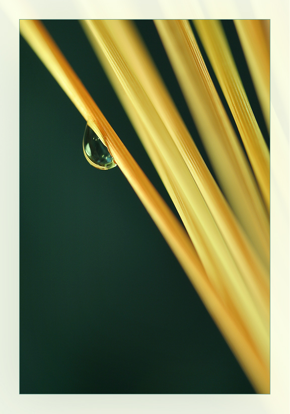 «Скольжение»