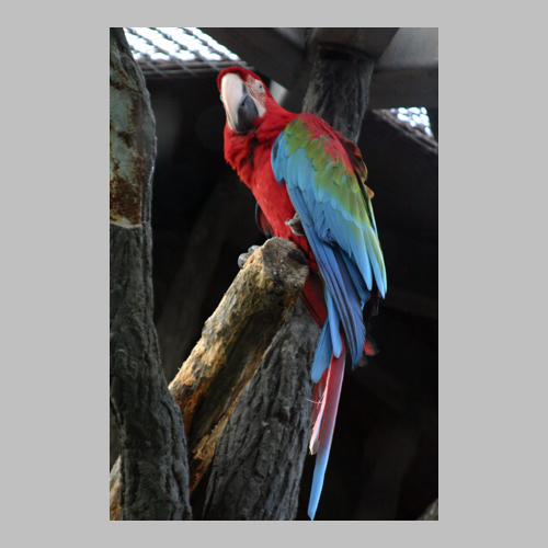 Московский зоопарк