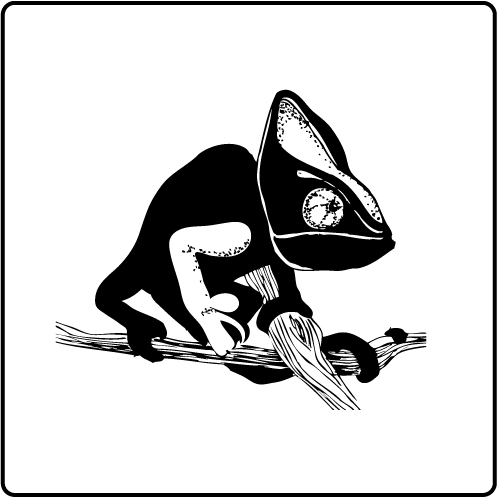 отрисовка хамелеона