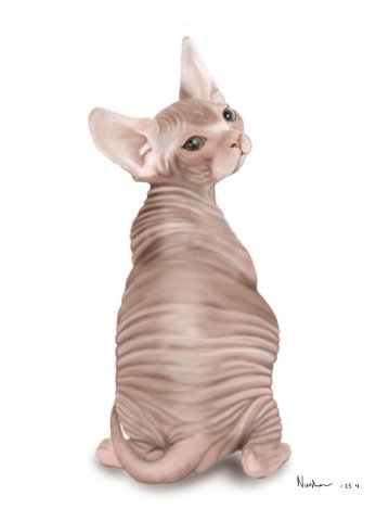 котенок, сделан на планшете wacom, A. Photoshop