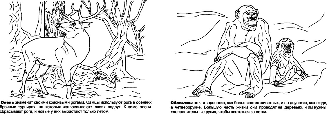 Раскрашка WWF1