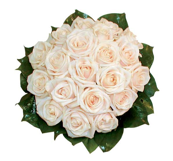 прикрепленный файл