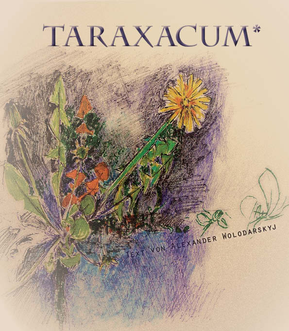 тараксакум