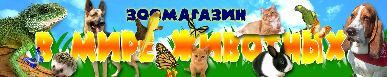 Зоомагазин "Мир животных"