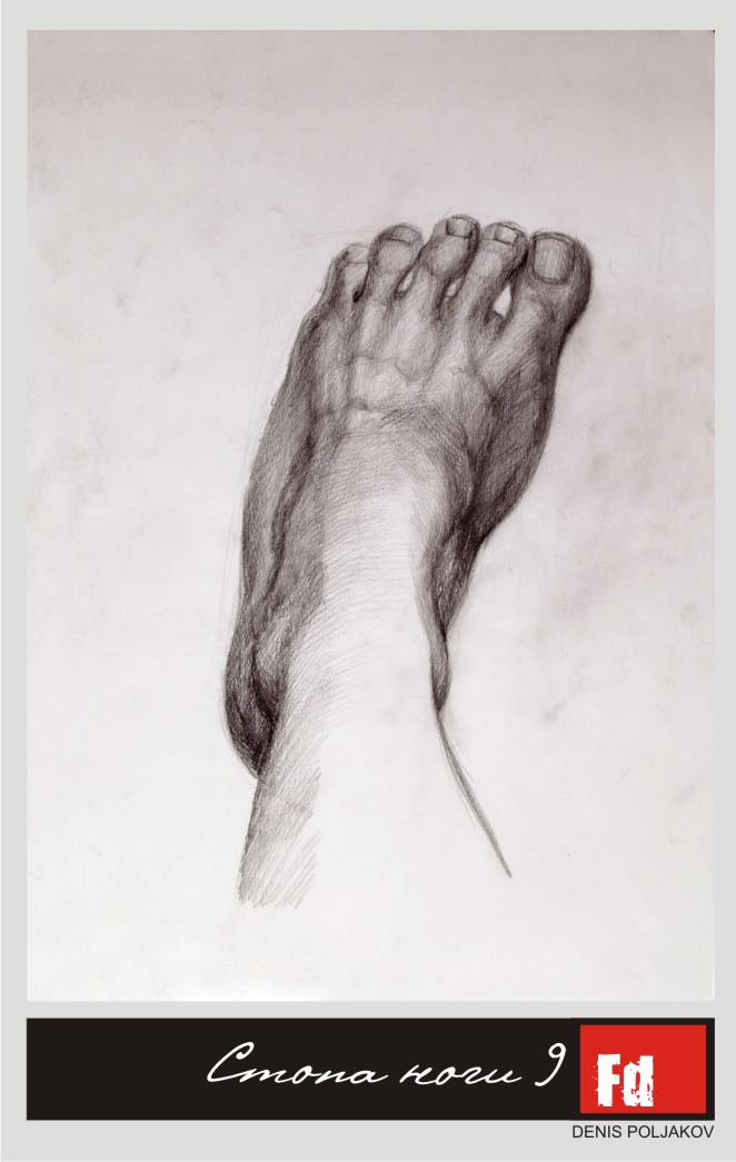 Стопа ноги 9