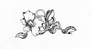 Иллюстрации к книгам "Красный квадрат" и "Арабески&quot