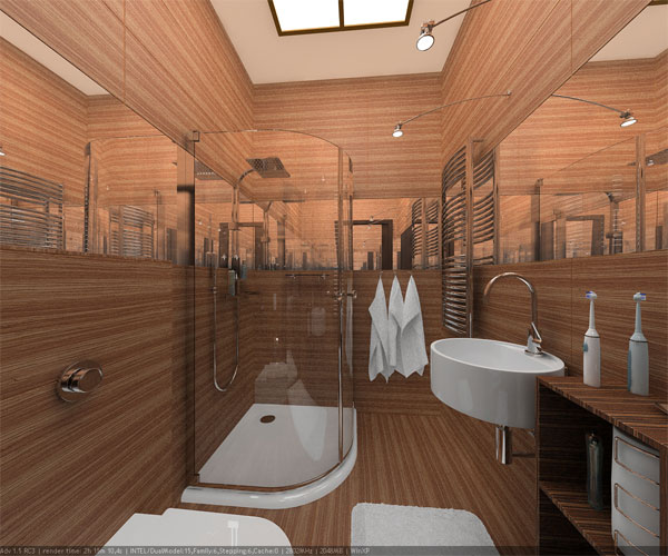 гостевой санузел