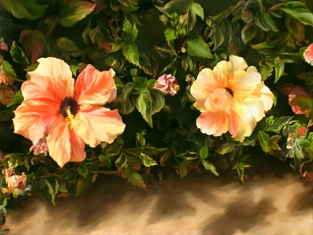 волшебные цветы