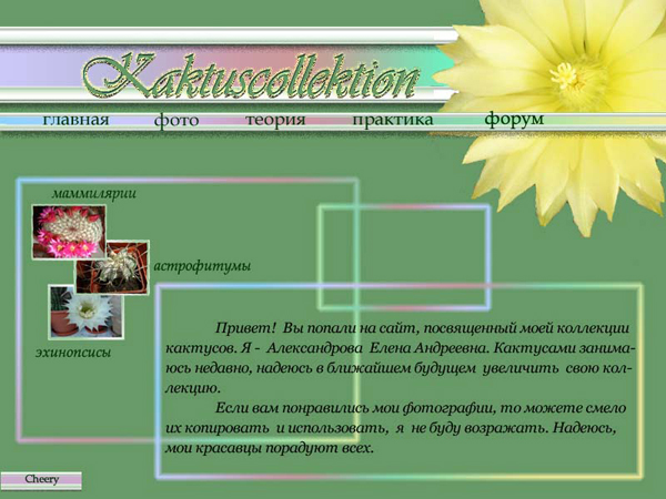 Коллекция кактусов