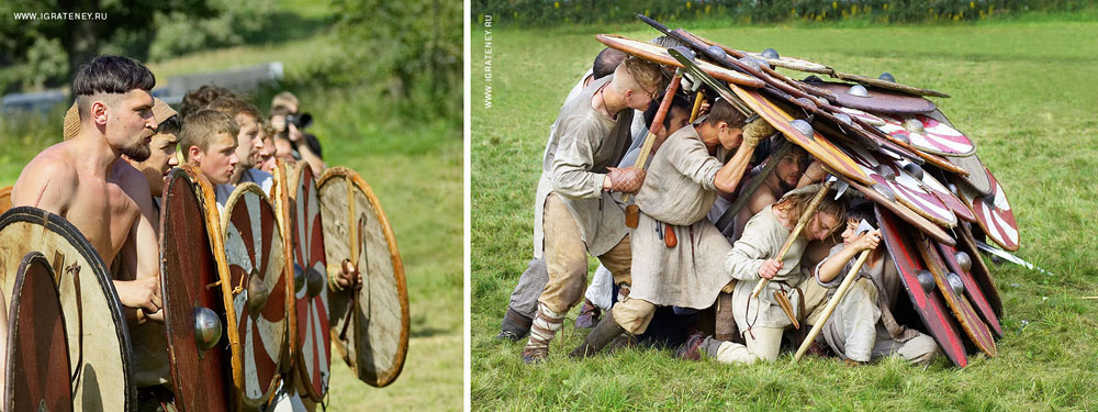 Воиново поле