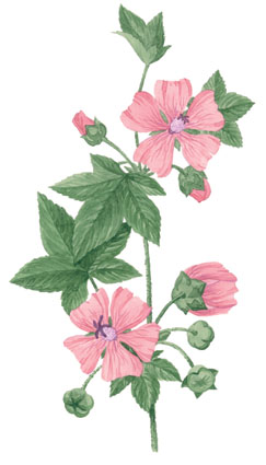 рисунок для календаря